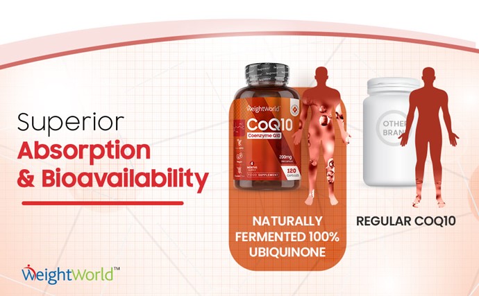 CoQ10 Capsules from EarthBiotics - High quality