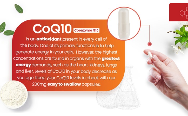 CoQ10 Capsules from EarthBiotics - General Overview