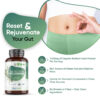 Organic Psyllium Husk Capsules - 180 x1400mg - Perfect for the Gut and Digestion - Image 2