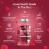 Probiotic Gummies - 2 billion CFU per Gummy - Strawberry and Vanilla flavoured Gummies for the Gut - Image 2