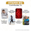 Vitamin B12 Tablets -1000mcg x 400 - Ideal For Fatigue and Inner Defences - Image 3