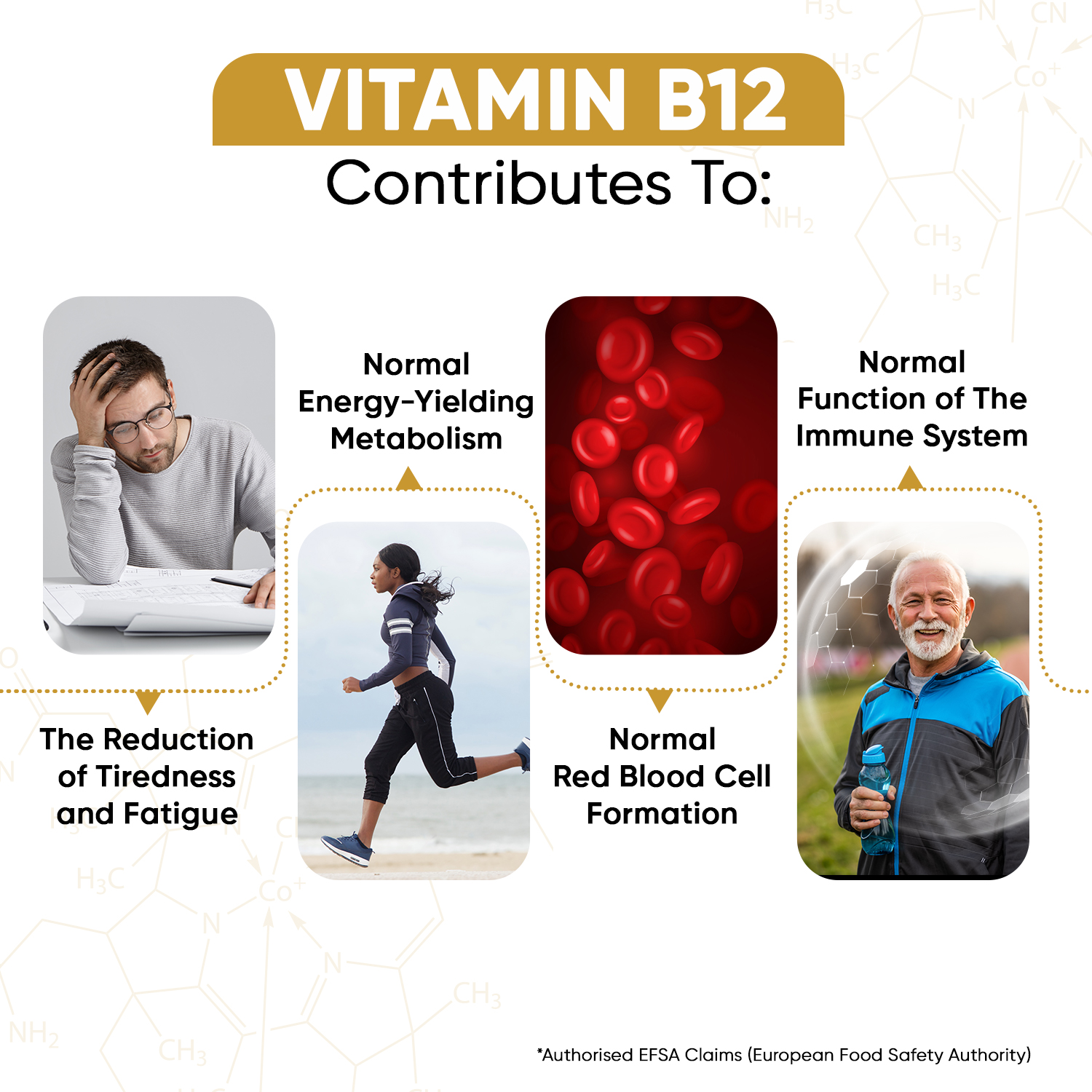 Vitamin B12 Tablets from EarthBiotics - Health Benefits