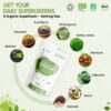 Organic Super Greens Powder 200g - For Weight Management and Vitality - Image 2
