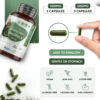 Organic Spirulina and Chlorella 1500mg Capsules - Superfood Supplement for Health & Wellbeing - Image 3
