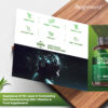 Choline Bitartrate Capsules - 180 x 700mg - Effective Liver Supplement - Image 7