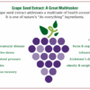 OPC Capsules (French Grape Seed Extract) - 240 x 500mg - Highest Potency - Image 3