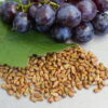 OPC Capsules (French Grape Seed Extract) - 240 x 500mg - Highest Potency - Image 5