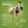 Hemp Seed Oil Softgel Capsules - 180 1000mg Max Absorption Softgels - Image 4